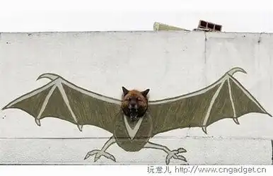 噢,蝙蝠狗诞生了动画片台
