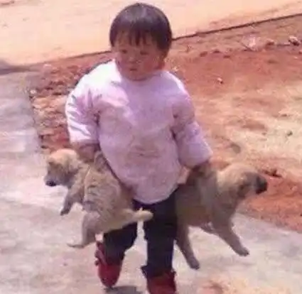 搞笑趣图一张图告诉你什么是真正的女汉子
