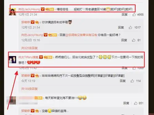 向太官宣郭碧婷怀孕,向佐母子长篇大论,郭却只回个表情包
