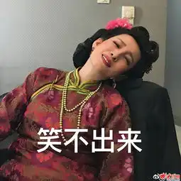秦海璐幽默调侃双十一网友我帮你我有wifi
