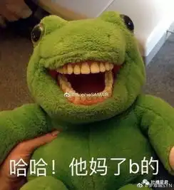 琼瑶迷惑行为大赏,全程高能哈哈哈哈哈哈
