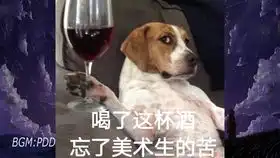 网络上的那些沙雕图片2
