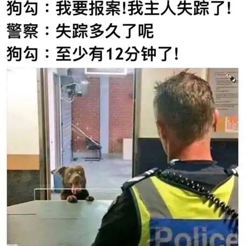 搞笑趣图小时候考试拿了高分的我vs现在平平无奇的我
