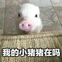 95后小花旦私底下居然在用这些来变美
