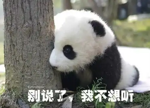 大良体育中心招聘会岗位表出炉,好工作多到数不过来

