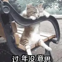 想回家过年的表情包微信头像图片大全
