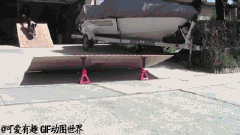 搞笑图片汪星人还有什么做不了的
