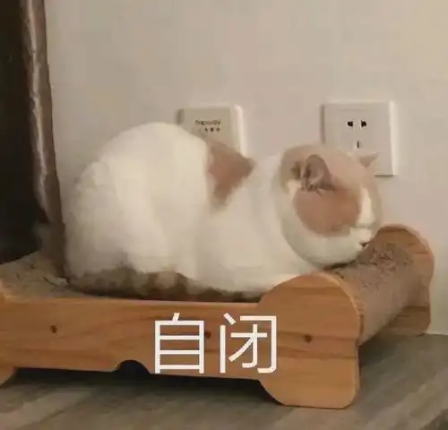 搞笑表情包你好,我想泡你
