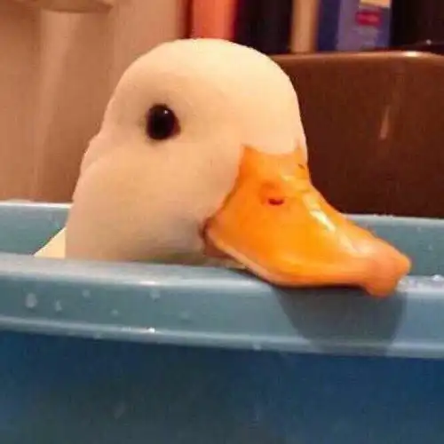 我的收藏
