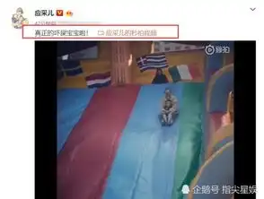 应采儿带小小春玩滑梯母子超开心,小小春笑成表情包超可爱腾讯网
