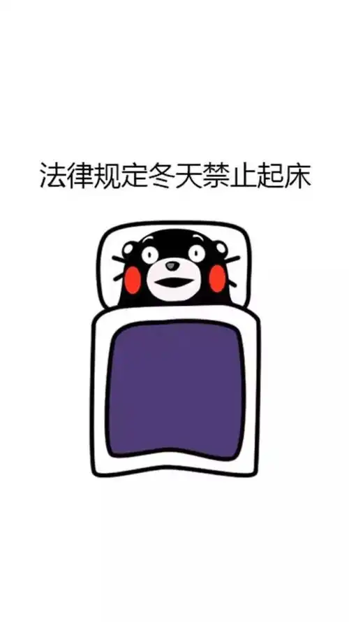 留言汇总你们要的壁纸都在这儿
