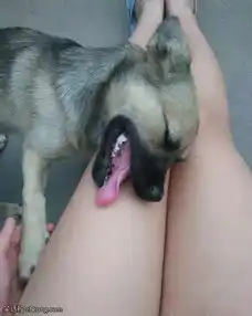 搞笑图片放开那个妹子,不然为师要念金箍咒了
