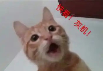 这个图片做成表情包,配什么文字比较搞笑呢
