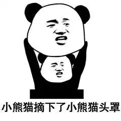 新发型小熊猫表情包
