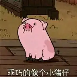 猪猪的凝视摇摇猪表情包
