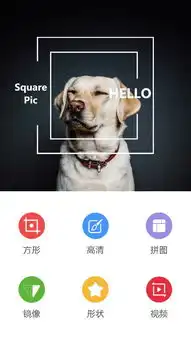最近蛮火的脸变胖的搞笑自拍是什么软件
