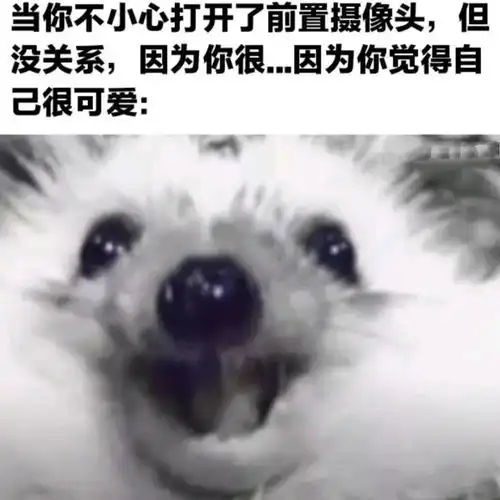 无标题
