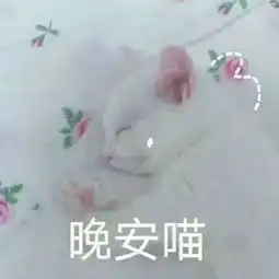 表情包晚安安,睡觉觉
