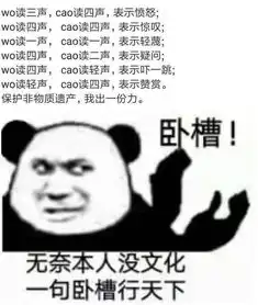 无奈本人没文化,一句卧槽行天下丨爆笑囧图
