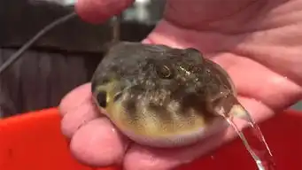 孩子的睡前故事终于有着落啦听起来都很有趣哦
