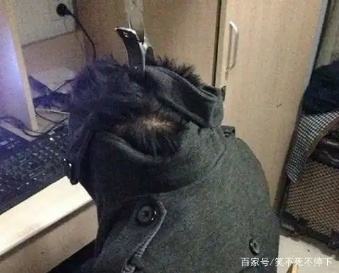 搞笑图片幽默段子笑话妹子,你这样的猪蹄鞋穿着会舒服吗
