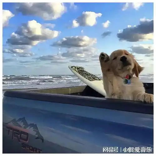 王阳明心学为什么这么厉害,一文带你读懂其中蕴藏的真理
