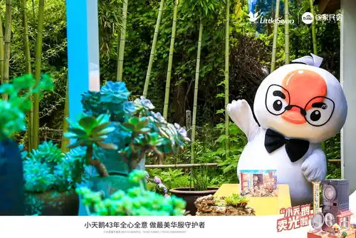 小天鹅携洗烘套装飞进途家,五大主题民宿带你体验阳光生活
