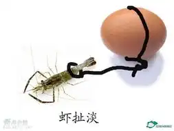 把童子蛋整成非遗太扯蛋
