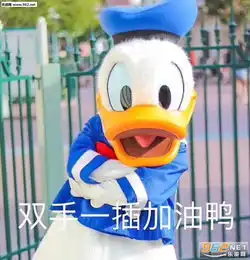 你好棒棒鸭表情包今天也要加油鸭表情包下载乐游网游戏下载