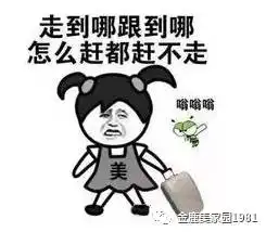 我恨蚊子,蚊子爱我
