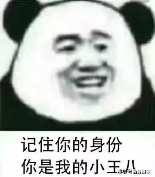 沙雕表情包图片被安排的明明白白

