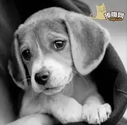 一个冷笑话hao123网址导航
