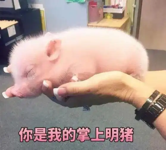 nrv以成人为基础,那给孩子买零食怎么换算
