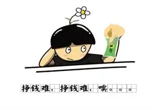 天猫运营直通车烧20万转化3单是假的,天猫商家亏钱就对了

