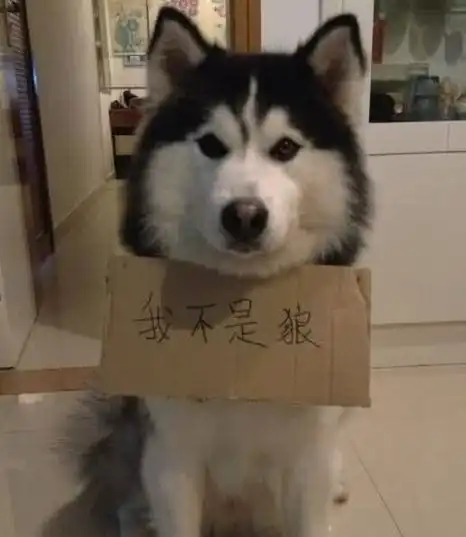 搞笑图片幽默段子笑话看着就疼,耍帅有危险,各位请谨慎
