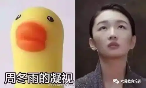特辑周冬雨来六曦任教
