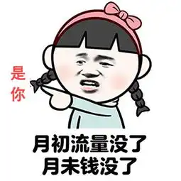 说得没错表情包
