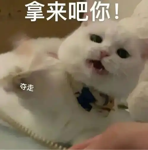 明星层奥运冠军热搜高攀了
