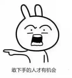 微信恶搞兔子带字表情包嫁娶版