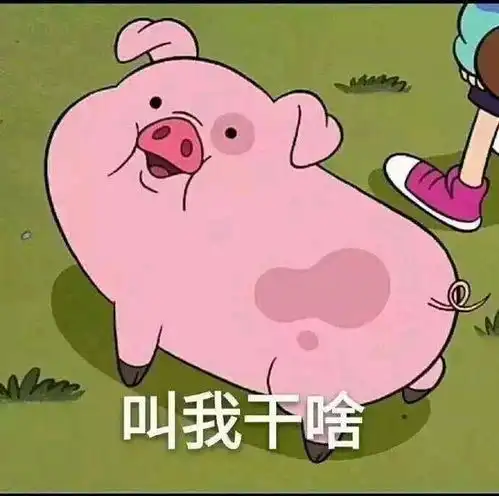 搞笑段子最后问你一次,我在网上看上的那件衣服,贵不贵
