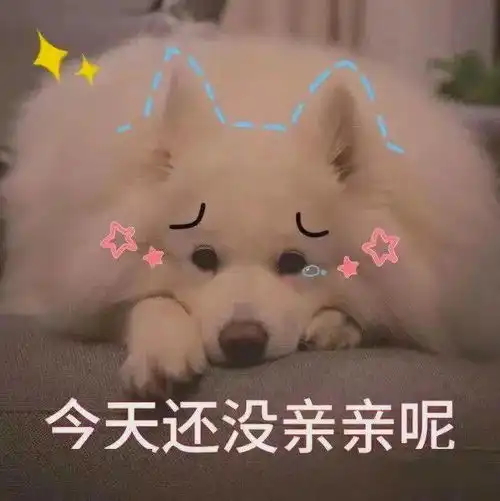 开心得像个憨憨
