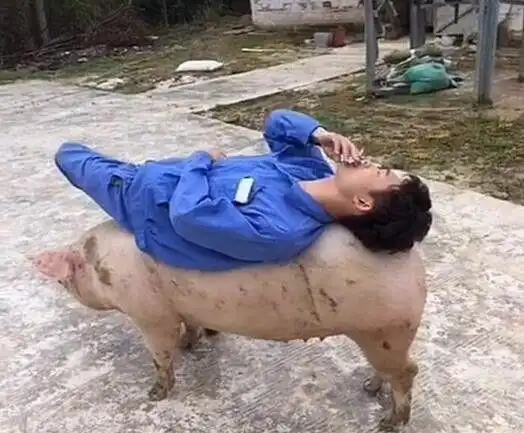军训全体面壁思过,妹子们问过墙的感受吗
