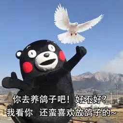 爆笑笑话别人的男友1米8,我的男友1米6,缺斤又短两,我赔了耶

