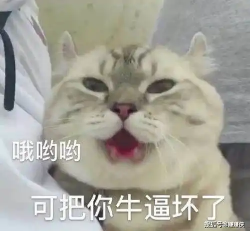 最新表情包图片看我熊猫眼,下次我还保护你
