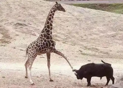 当读其他程序员写的代码的时候
