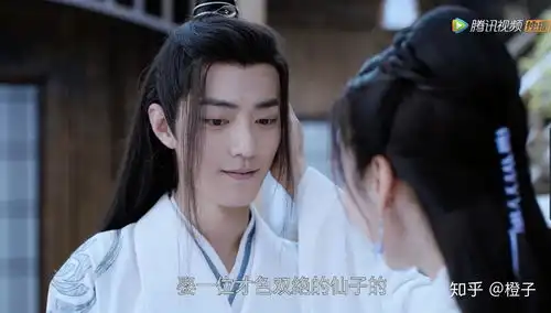 如何评价影视剧陈情令
