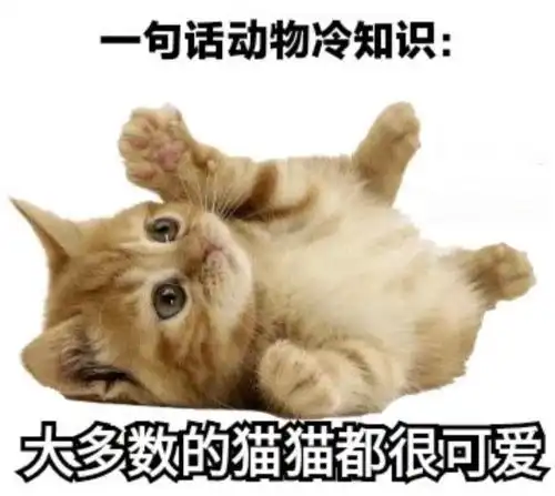 无标题
