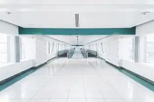 台媒新加坡地铁禁止带榴莲嚼口香糖要重罚
