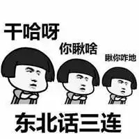 东北话表情包搞笑图片微信头像图片大全
