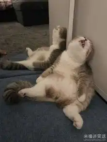 太困了